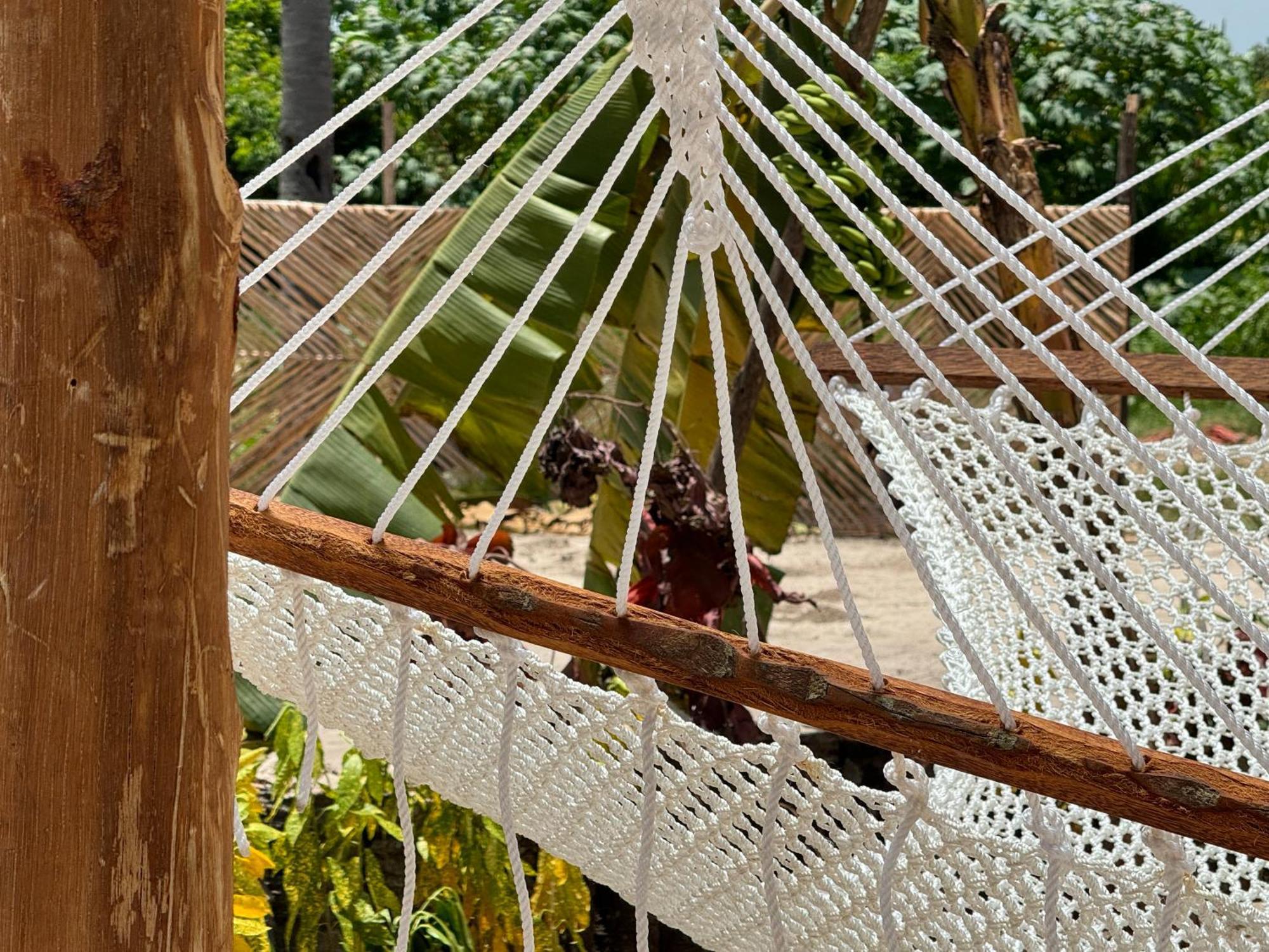 V Hotel In Paje Ngoại thất bức ảnh